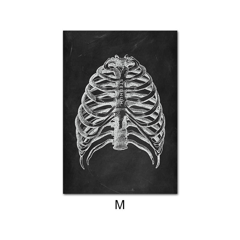 Human Anatomy Skeleton Canvas Painting