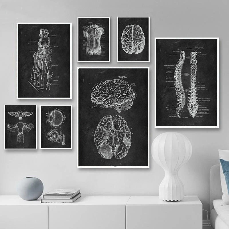Human Anatomy Skeleton Canvas Painting