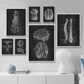 Human Anatomy Skeleton Canvas Painting