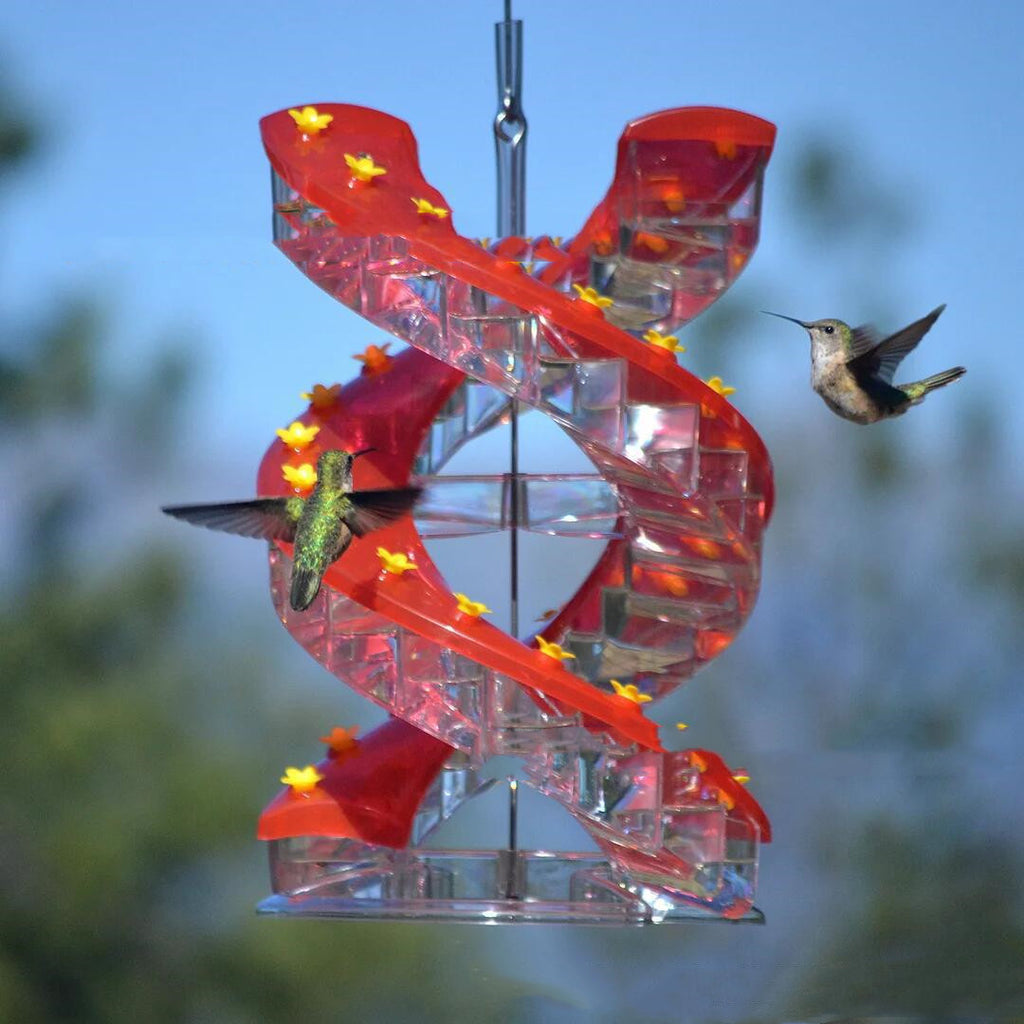 Climbing Ladder Spiral Hummingbird Feeder | May Birth Month Bird Feeder | Unilateral & Bilateral