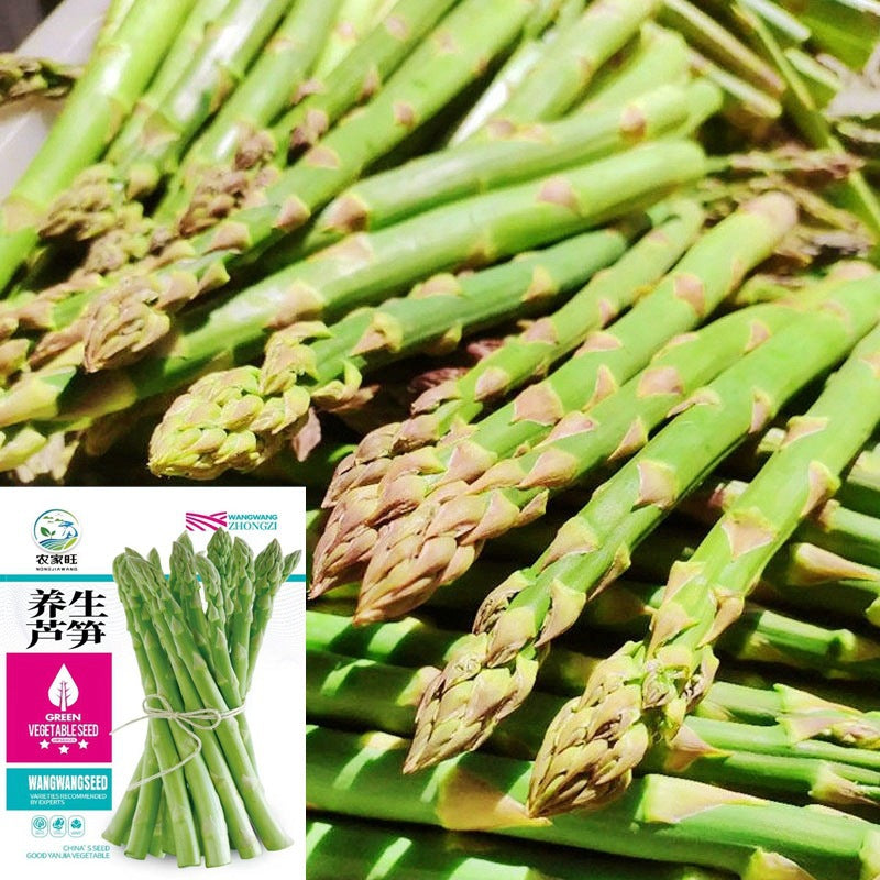 Green Asparagus Seeds | May National Asparagus Month | Four Seasons Home Garden