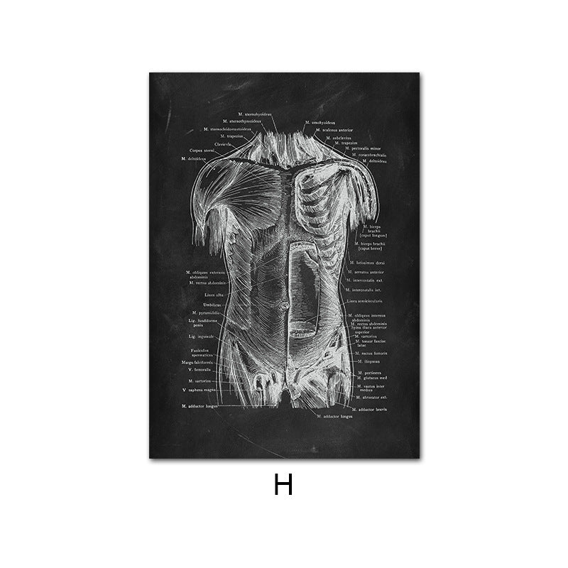 Human Anatomy Skeleton Canvas Painting