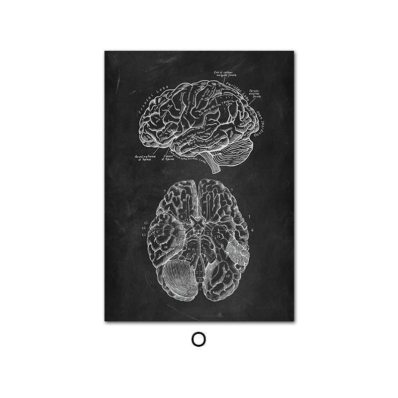 Human Anatomy Skeleton Canvas Painting