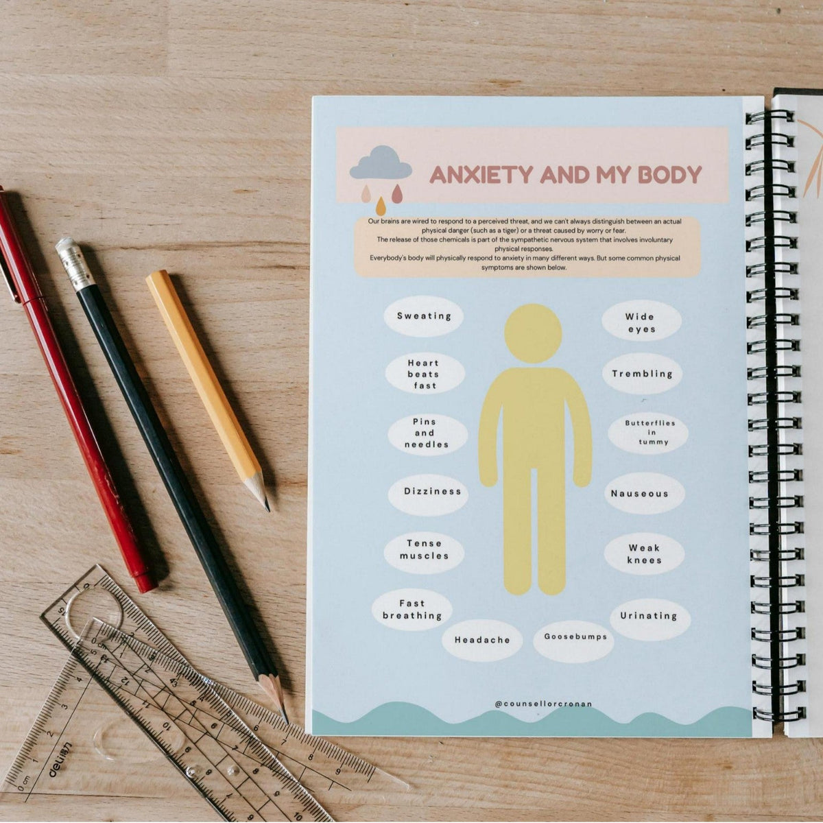Anxiety Notebook & Log Journal | May Mental Health Awareness | 30x45cm Healing Truth - Maximus Grace