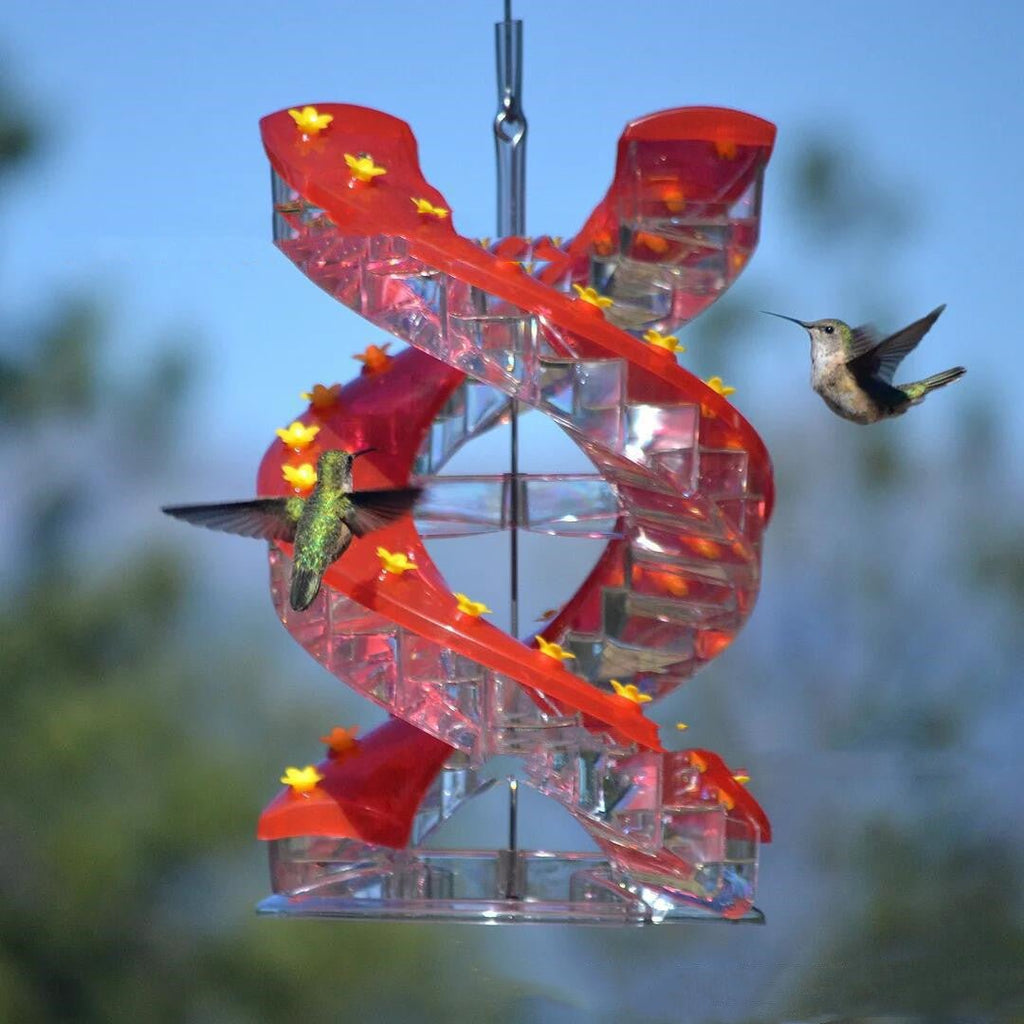 Climbing Ladder Spiral Hummingbird Feeder | May Birth Month Bird Feeder | Unilateral & Bilateral - Maximus Grace