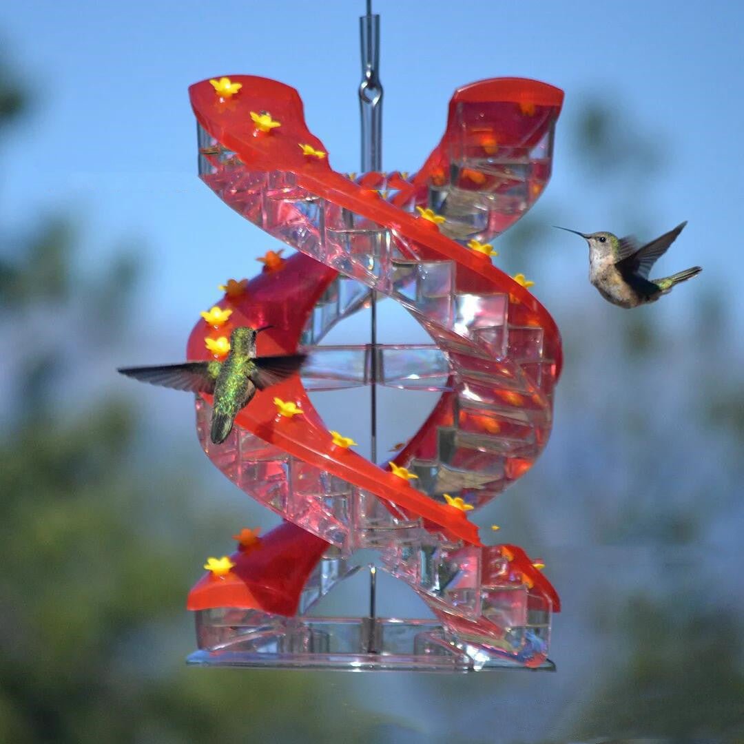 Climbing Ladder Spiral Hummingbird Feeder | May Birth Month Bird Feeder | Unilateral & Bilateral - Maximus Grace