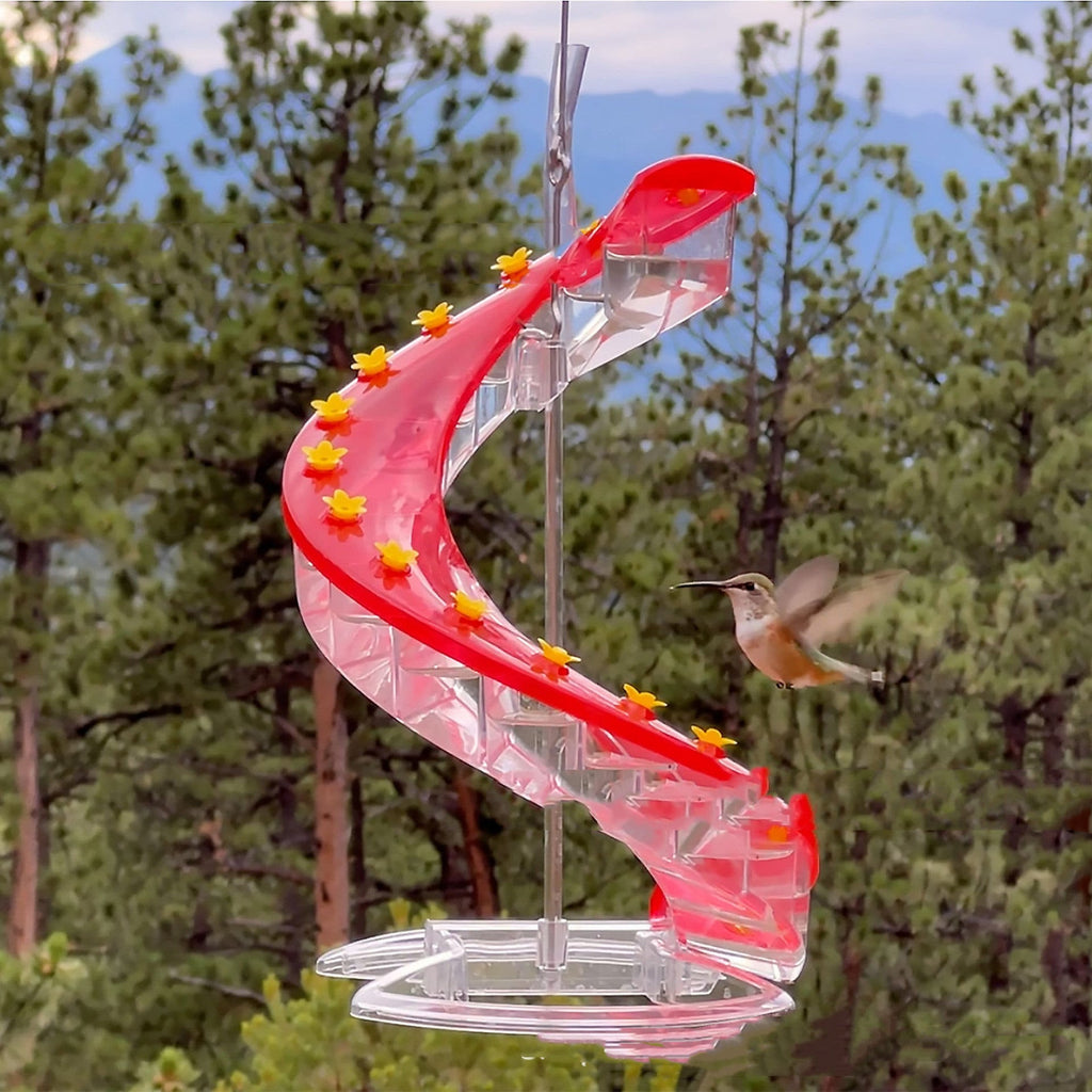 Climbing Ladder Spiral Hummingbird Feeder | May Birth Month Bird Feeder | Unilateral & Bilateral - Maximus Grace