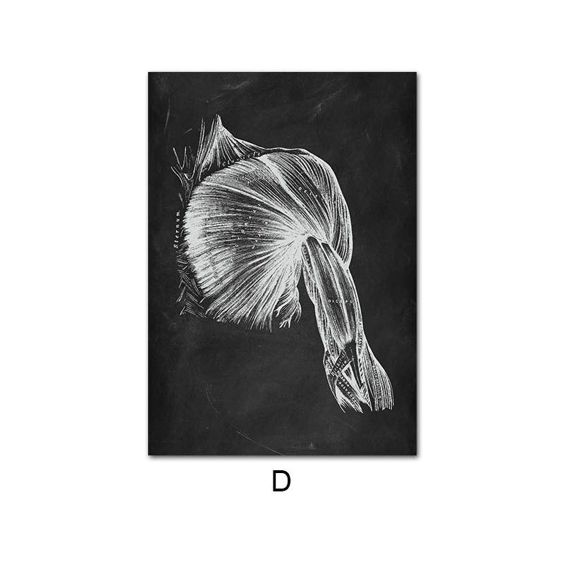 Human Anatomy Skeleton Canvas Painting