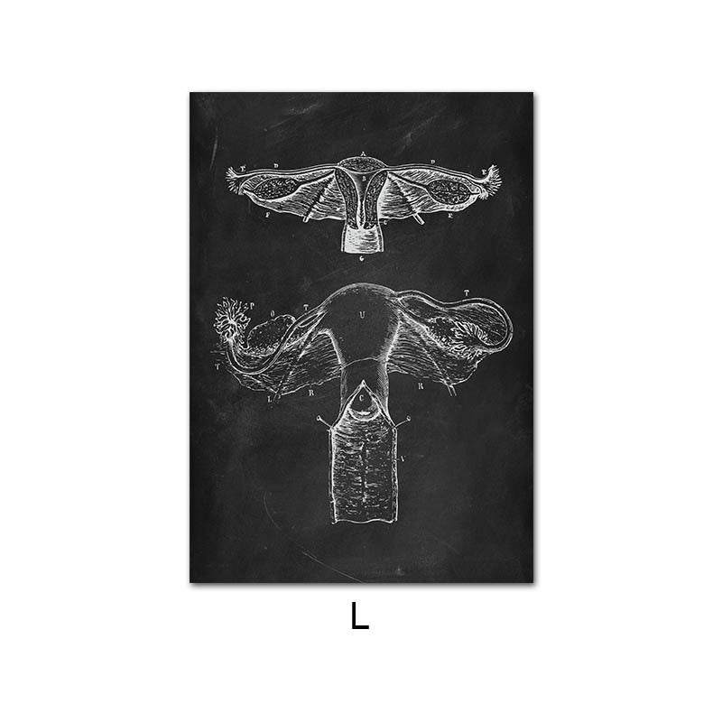 Human Anatomy Skeleton Canvas Painting