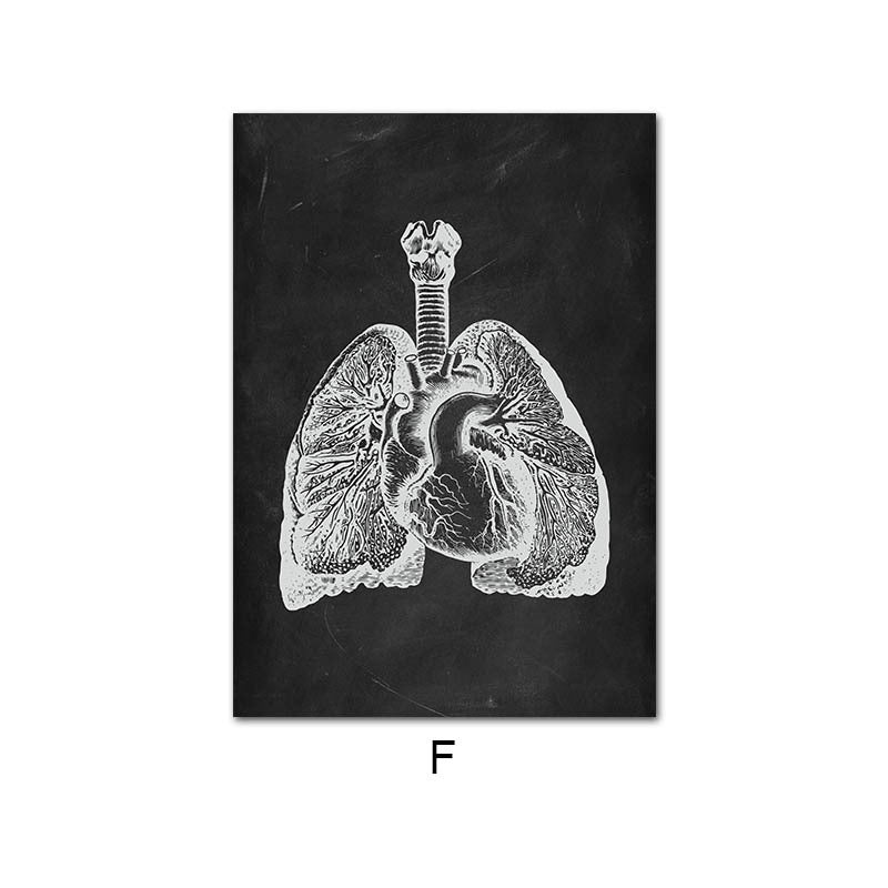 Human Anatomy Skeleton Canvas Painting