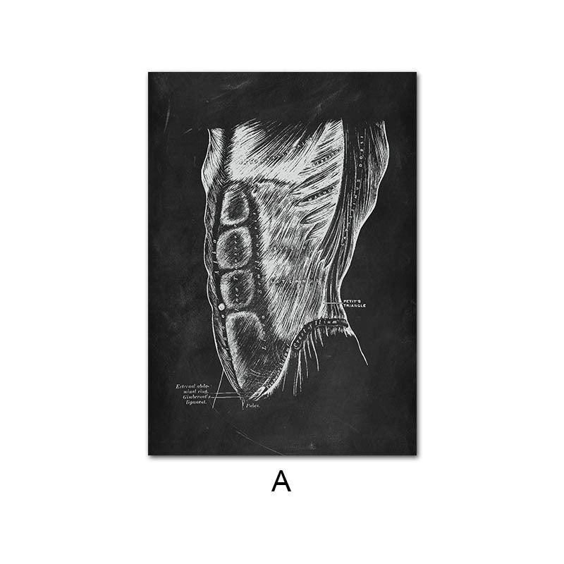 Human Anatomy Skeleton Canvas Painting