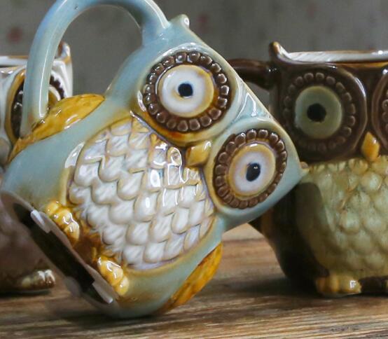 Southern Wisdom Owl Ceramic Coffee Mug | Cute Kitchen Gift - Maximus Grace